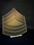 The Silent Backbone: Marking the Army’s Senior Expert