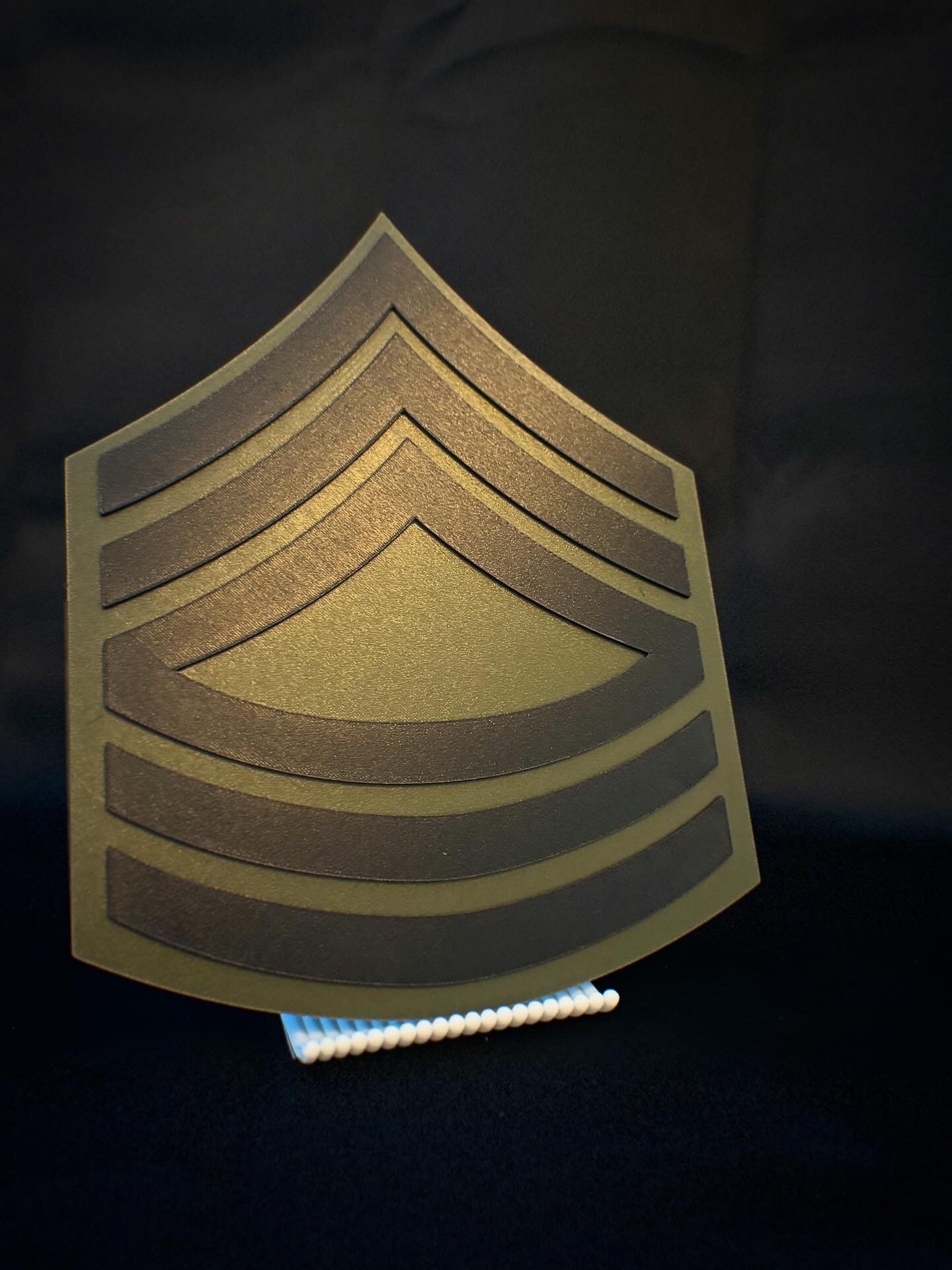 The Silent Backbone: Marking the Army’s Senior Expert
